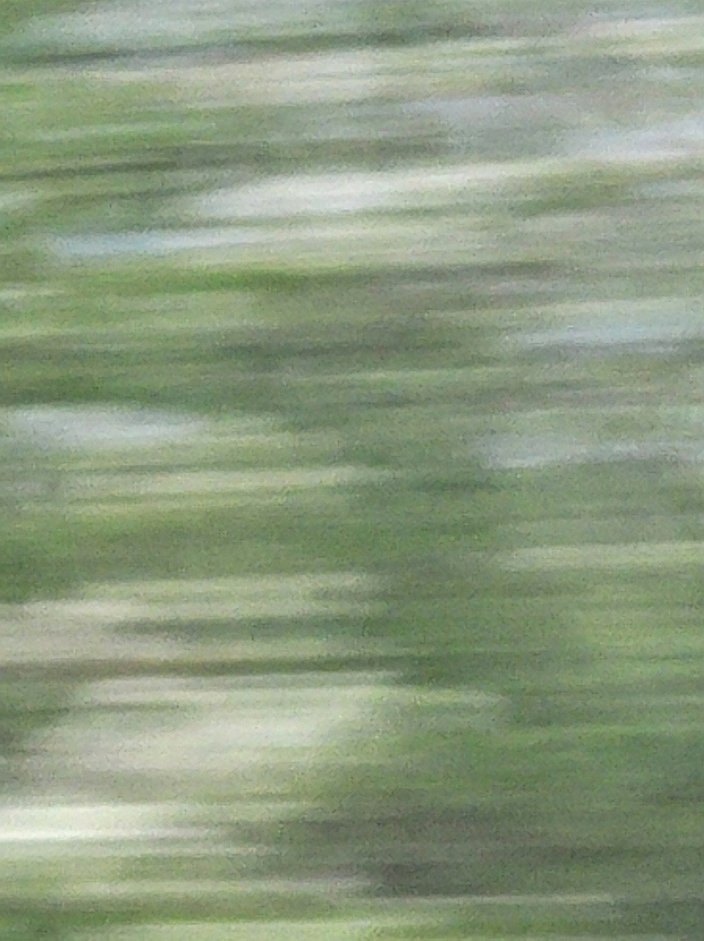 Flou capturé par la fenêtre du TER de Laon à&nbsp;Guignicourt.