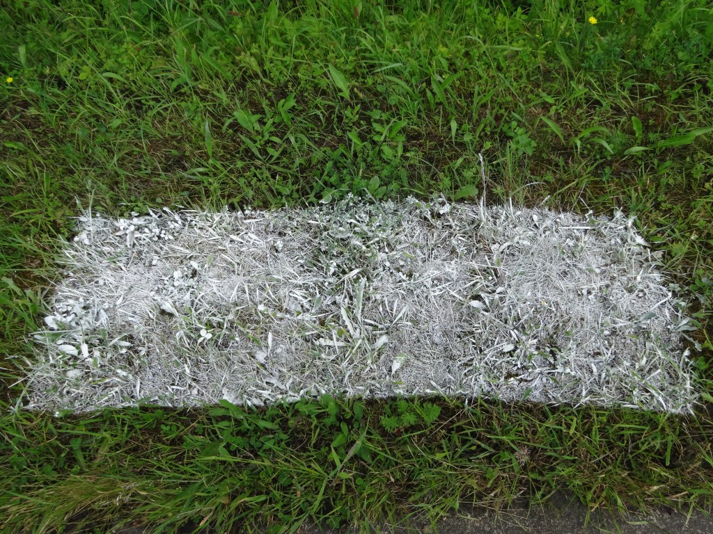 Sur le bas-côté d&rsquo;une route, des signalisations routières déportées dans l&rsquo;herbe&nbsp;rase.