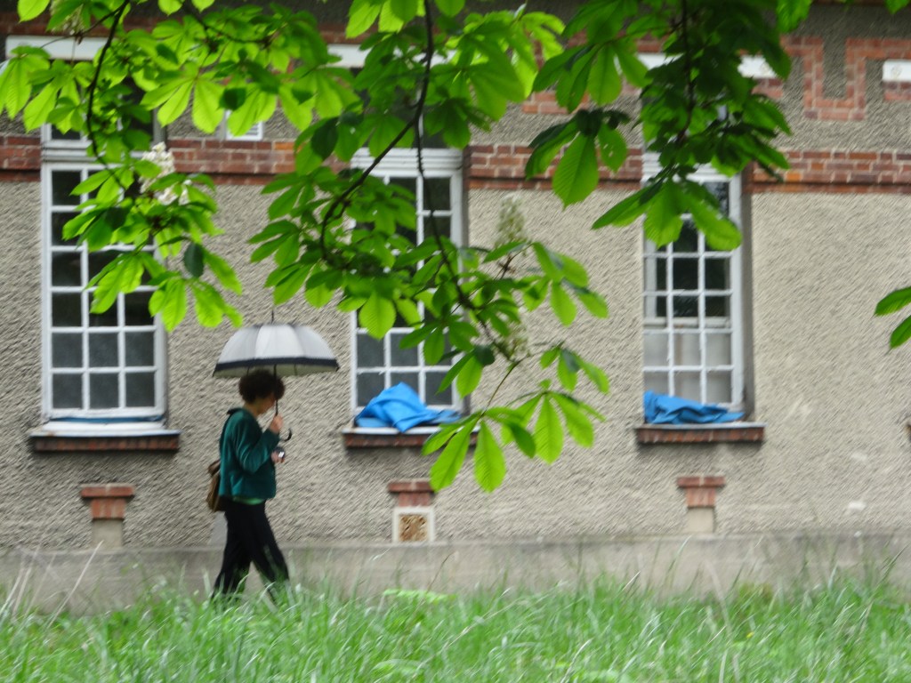 Sur le site en sursis de de l&rsquo;hôpital psychiatrique de Ville-Evrard, traces d&rsquo;un lieu qui a longtemps contenu la&nbsp;folie