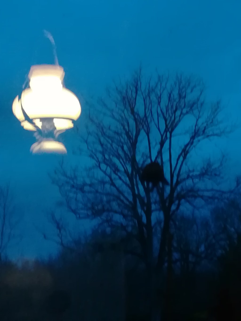Soir d&rsquo;hiver entre chien et loup, le reflet de la lampe à la fenêtre, réchauffe l&rsquo;arbre dénudé au bout du pré. (maison, Normandie,&nbsp;2025).