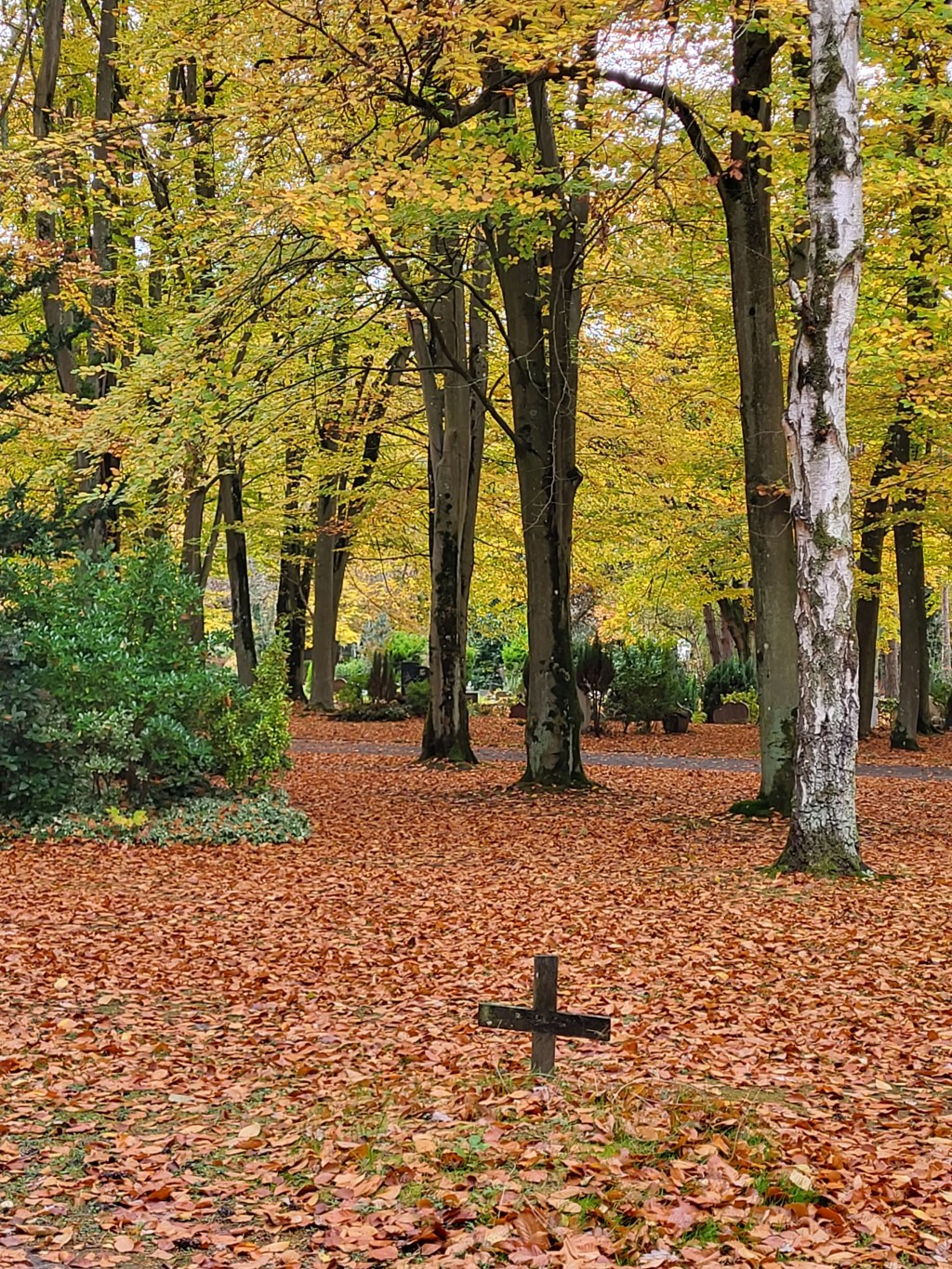En flânant le jour de la Toussaint :  croix d&rsquo;une tombe émergeant à peine d&rsquo;un épais tapis de feuilles. Le défunt est au&nbsp;chaud.