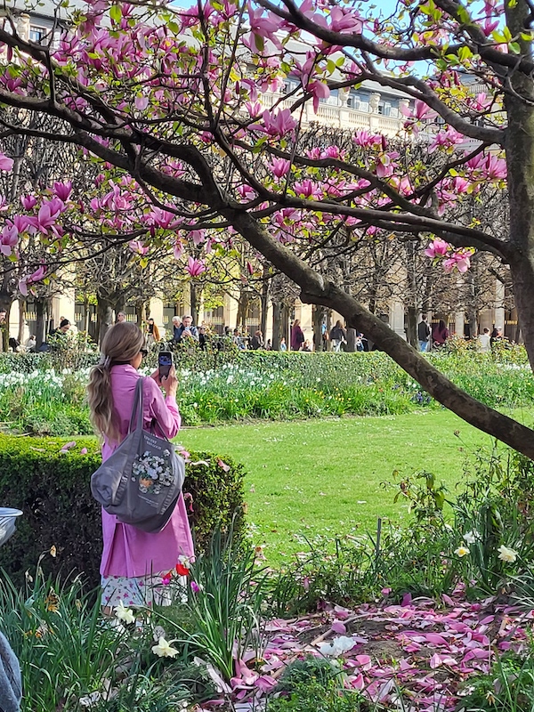 Immobile sous le magnolia, la promeneuse en manteau rose, capte un selfie bien accordé. Quelques pétales s&rsquo;envolent hors champ (Paris,&nbsp;2025)
