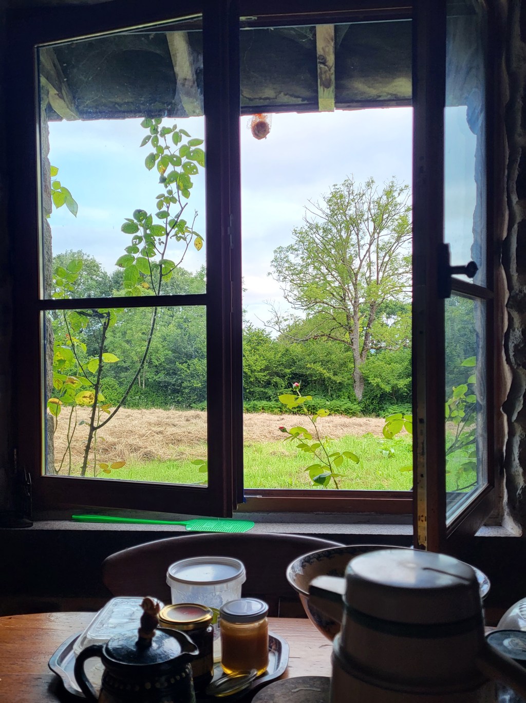 Par la fenêtre ouverte, pénètre l&rsquo;odeur du foin qui sèche sur le pré.  Confiante, la boule à graines attend sa mésange préférée. (Bocage virois,&nbsp;2025)