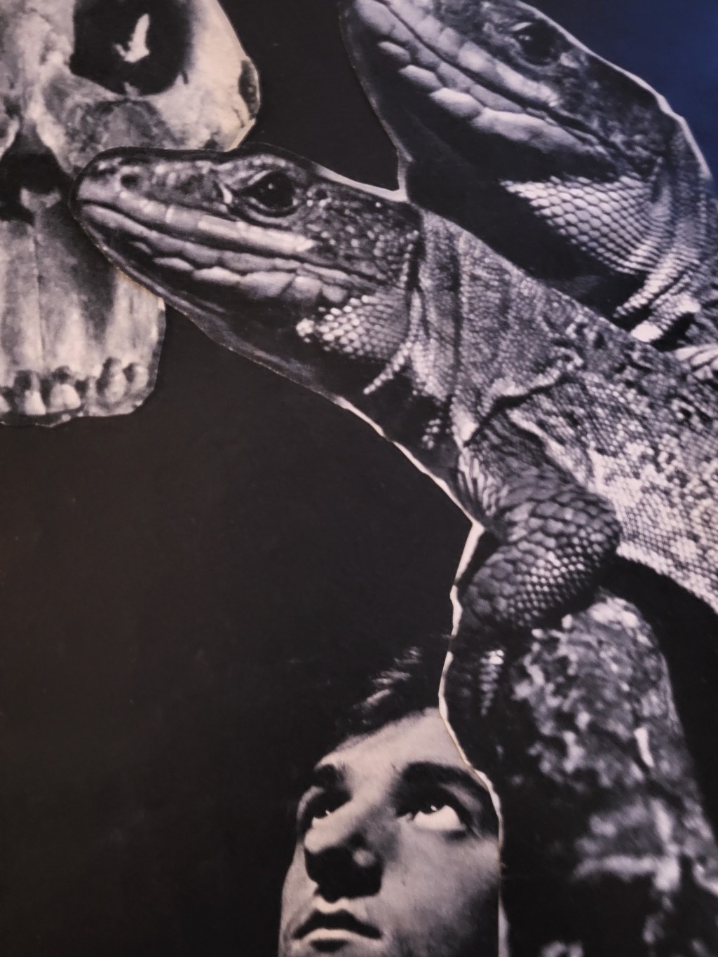 Collage du jour : la nuit du&nbsp;lézard