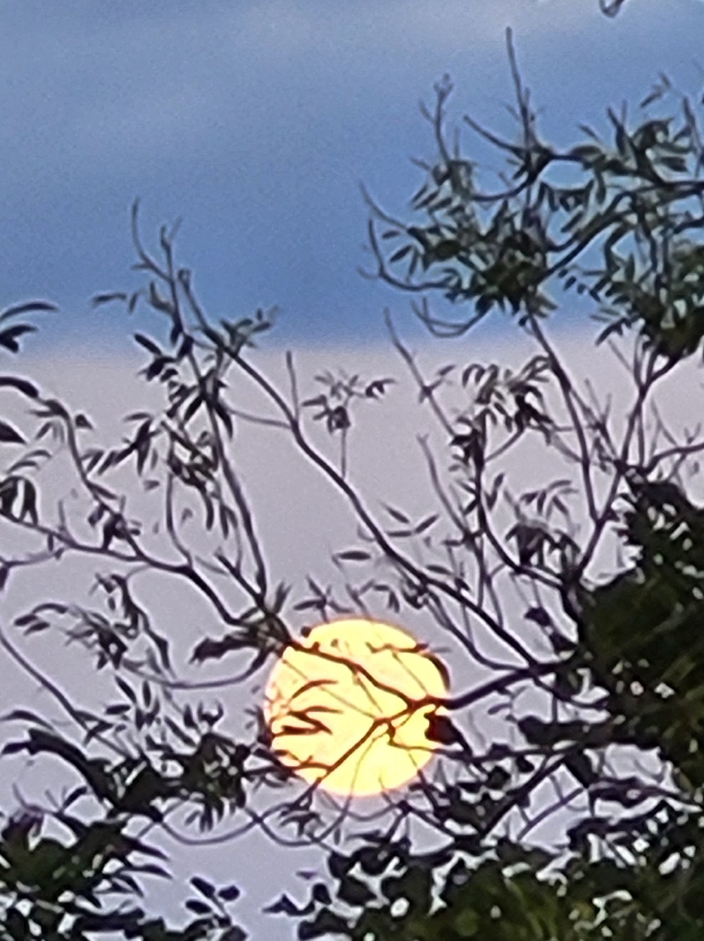 Pleine lune sur fond de ciel bleu et rose. Bientôt la nuit. À moins que l&rsquo;aube ? (Normandie, octobre&nbsp;2025)